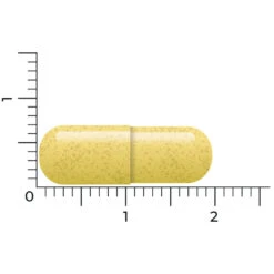 Vitakruid Quercetine 250 5 Vitakruid Quercetine 250 -Winkel Voor Gezondheidszorgproducten 1021059 4