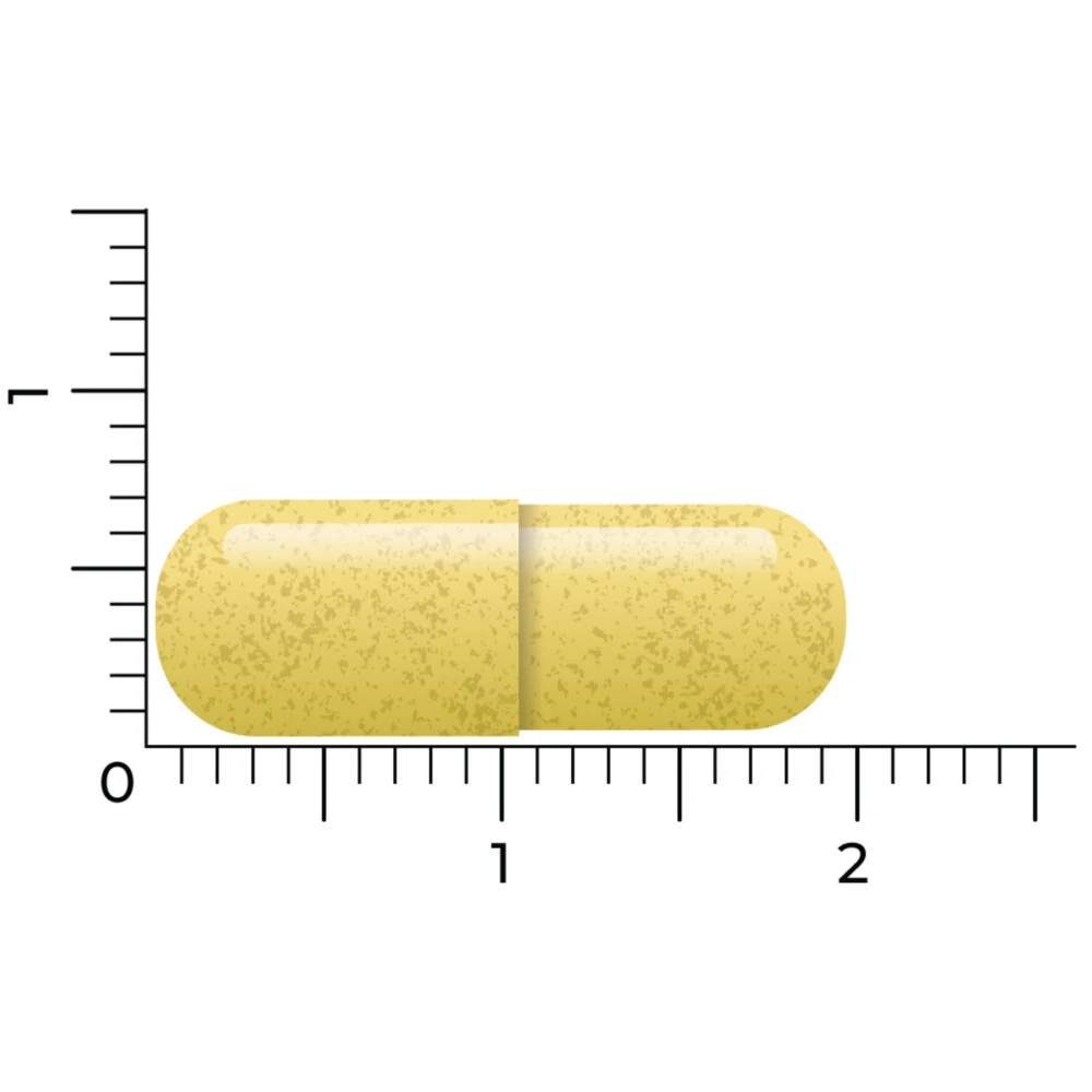 Vitakruid Quercetine 250 Vitakruid Quercetine 250 -Winkel Voor Gezondheidszorgproducten 1021059 4