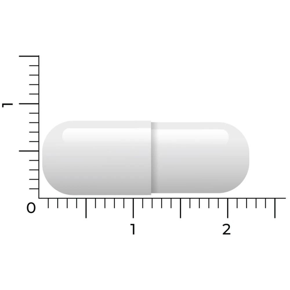 Vitakruid Acetyl L-Carnitine Vitakruid Acetyl L-Carnitine -Winkel Voor Gezondheidszorgproducten 1024019 5