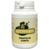 Golden Bee Propol Forte -Winkel Voor Gezondheidszorgproducten 1027098