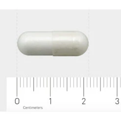 AOV 604 L-Carnosine (250 Mg) -Winkel Voor Gezondheidszorgproducten 1029449 4