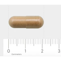 AOV 828 Salvia-extract -Winkel Voor Gezondheidszorgproducten 1029464 4