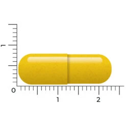 Vitakruid Berberine 500 Rebersa -Winkel Voor Gezondheidszorgproducten 1029807 4