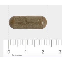 Orthica Slaap Support -Winkel Voor Gezondheidszorgproducten 1029812 4