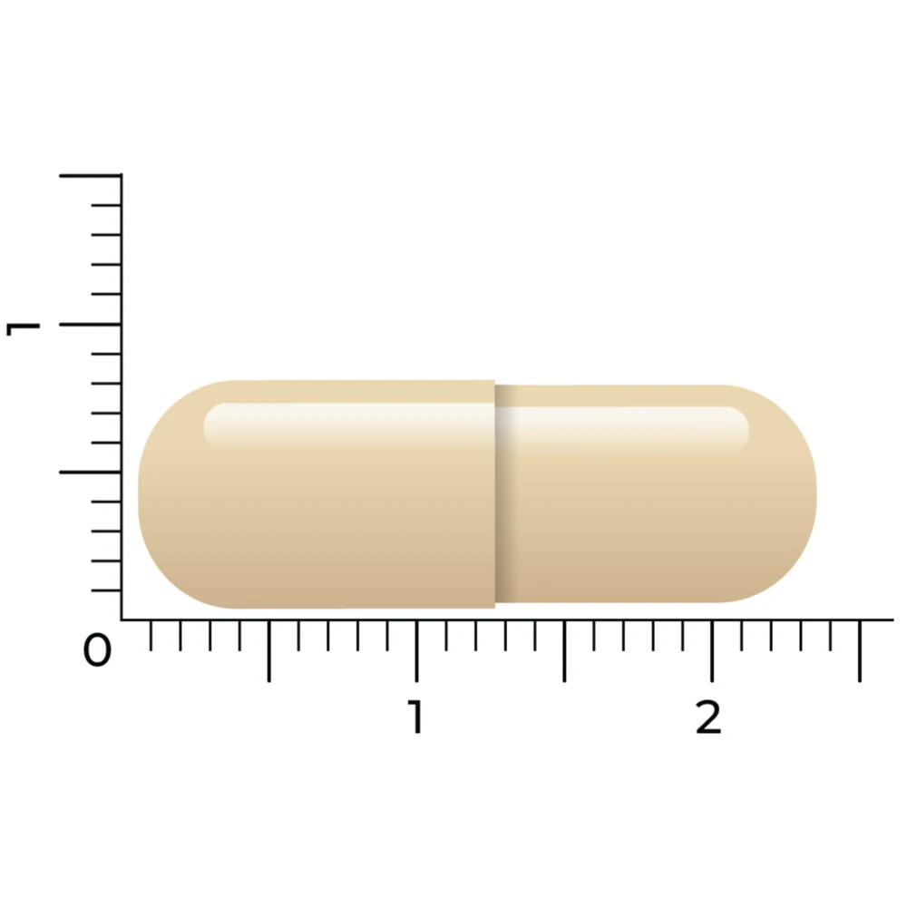 Vitakruid DIM Complex Vitakruid DIM Complex -Winkel Voor Gezondheidszorgproducten 1040356 5