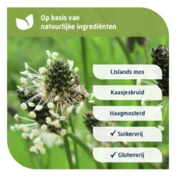 2x Natterman Direct Voor Alle Hoest Suikervrij -Winkel Voor Gezondheidszorgproducten 1041564 5