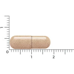 Vitakruid Lactoferrine 150 Mg -Winkel Voor Gezondheidszorgproducten 1054157 4