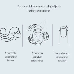 Premium Collageen Hydrolysaat Poeder Met Vitamine C En Hyaluronzuur Sinaasappelsmaak -Winkel Voor Gezondheidszorgproducten 1055226 4