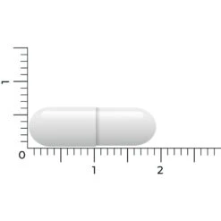 Vitakruid Lactase Optiferm 3000 Fcc 6 Vitakruid Lactase Optiferm 3000 Fcc -Winkel Voor Gezondheidszorgproducten 1058191 5