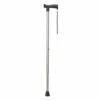 Vitility Wandelstok Antraciet -Winkel Voor Gezondheidszorgproducten 942802