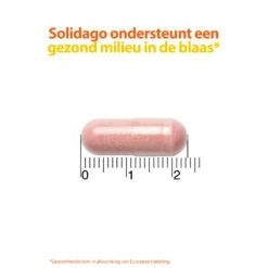 Roter Cystiberry -Winkel Voor Gezondheidszorgproducten 962280 4