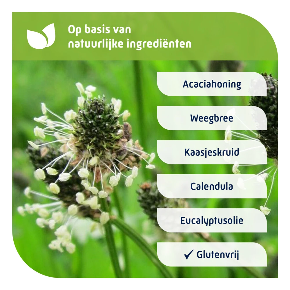 Natterman Voor alle Hoest Hoestdrank Natterman Voor Alle Hoest Hoestdrank -Winkel Voor Gezondheidszorgproducten 974964 4