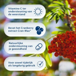 Blase Berry Cranberry & D-Mannose 5 Blase Berry Cranberry & D-Mannose -Winkel Voor Gezondheidszorgproducten 977754 4