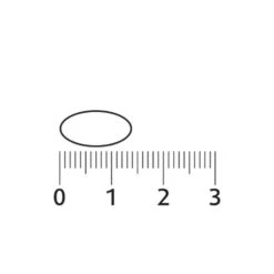 Lucovitaal CBD Cannabidiol 5 Mg -Winkel Voor Gezondheidszorgproducten 987214 3